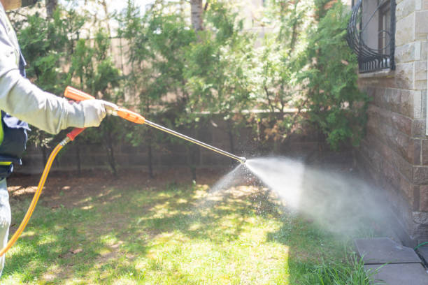 Spider Control Near Me in Highspire, PA